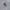 Physical statt Social Distancing